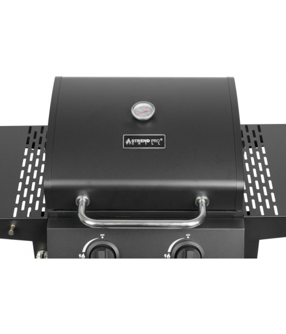 Plynový gril Andora BBQ, 2 hořáky