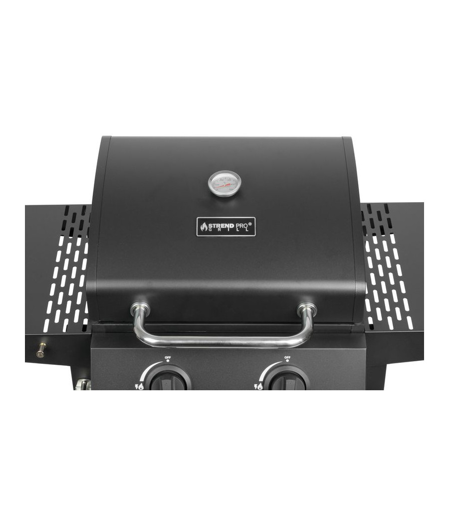 Plynový gril Andora BBQ, 2 hořáky